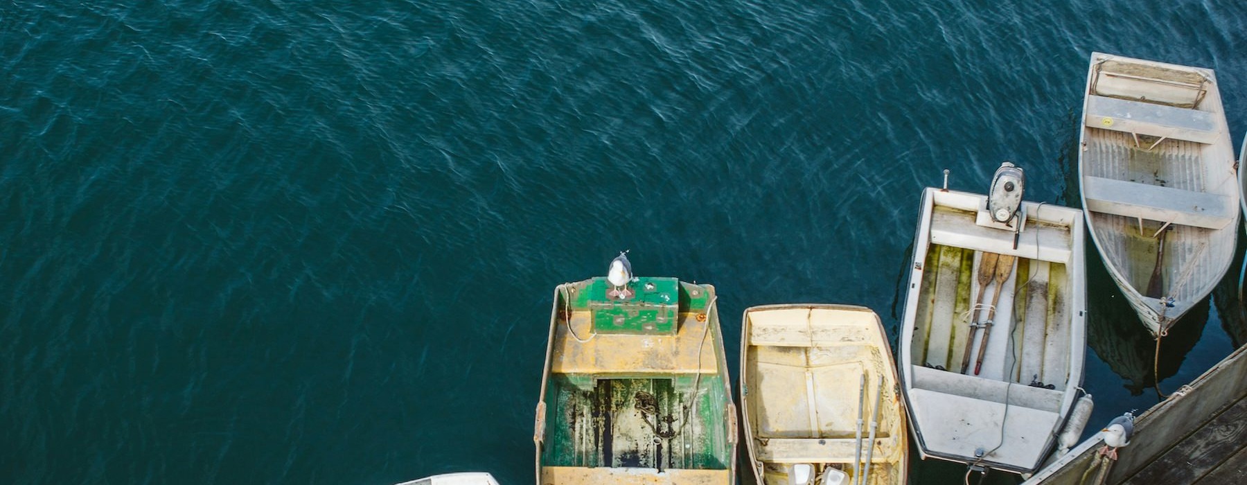 boats are floating in the water